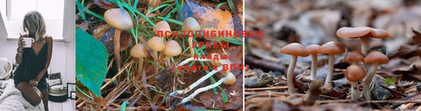 метадон Абдулино