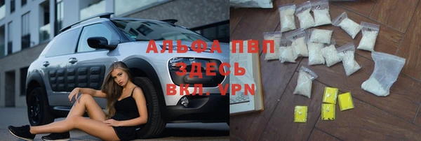 трава Абаза