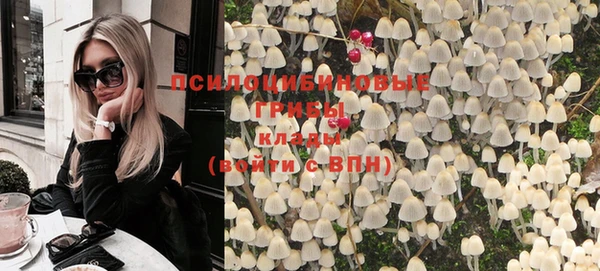 эйфоретик Гусиноозёрск