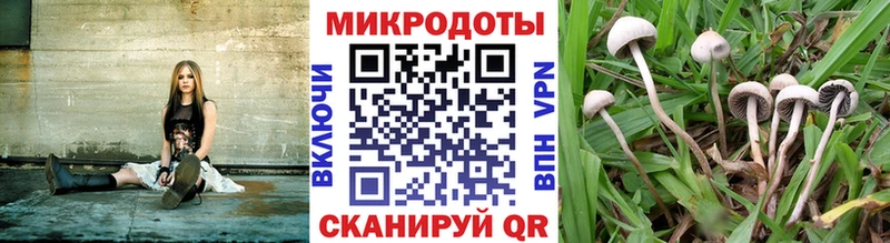 Псилоцибиновые грибы ЛСД дарнет шоп Грозный