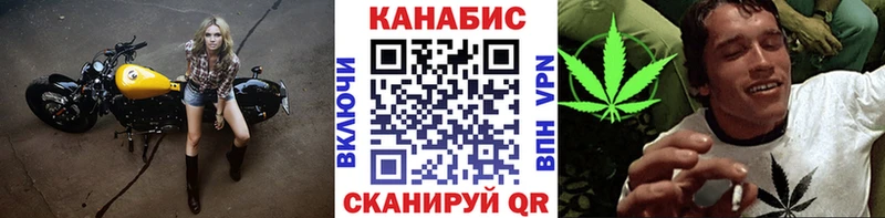 цена наркотик  Грозный  Канабис марихуана 